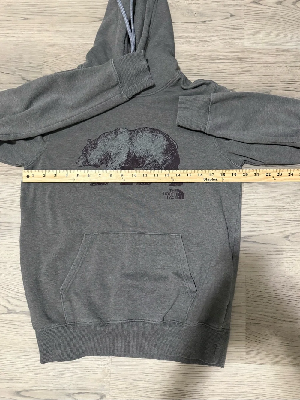 The North Face Bear Graphic Hoodie Men’s Small Gray Pullover Sweatshirt